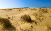 Le sable du bassin d'Arcachon reste sur le bassin d'Arcachon