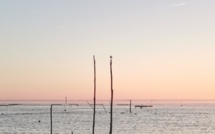 Balade sur une plage du bassin d’Arcachon (en famille, avec enfant et en hiver)