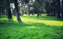 7 choses à savoir sur le parc Mauresque à Arcachon