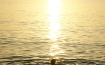 Quelle est la température de l’eau du bassin d’Arcachon en ce moment ?