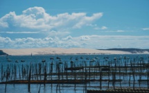 La petite histoire de l’huître du Bassin d'Arcachon