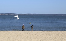 La queue de baleine d’Arcachon
