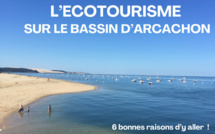 Ecotourisme sur le bassin d’Arcachon