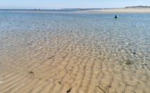 Presqu’île de Lège Cap-Ferret