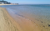 Quels sont les meilleurs moments de l’année pour visiter le Cap Ferret ?