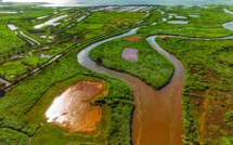 Le delta de la Leyre, la petite amazone du bassin