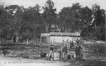 Le résinier du bassin d’arcachon : entre patrimoine historique et renaissance contemporaine