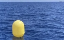 À quoi servent vraiment les bouées jaunes que l’on voit partout sur le Bassin d’Arcachon ?