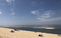 Le banc d’Arguin