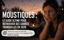 Moustiques sur le bassin d’Arcachon : le guide ultime pour retrouver des soirées tranquilles en 2026