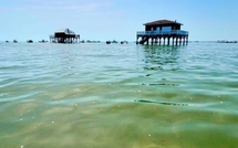 Eau du Bassin d'Arcachon : vraiment plus propre qu'il y a 50 ans ?