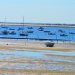 Pointe aux chevaux En été