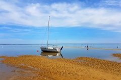 Beacher près de la Pointe aux chevaux 