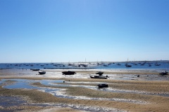 Vue depuis la plage de la Pointe aux chevaux