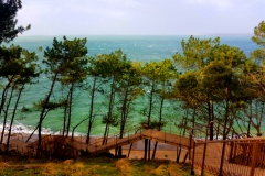 Bassin d’arcachon vert de rage 