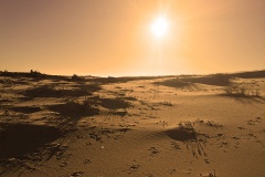 Bord d’océan au printemps