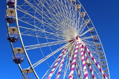 IMG_2278_SnapseedCopy