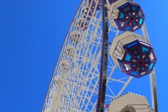 IMG_2279_SnapseedCopy