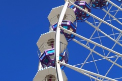 IMG_2280_SnapseedCopy