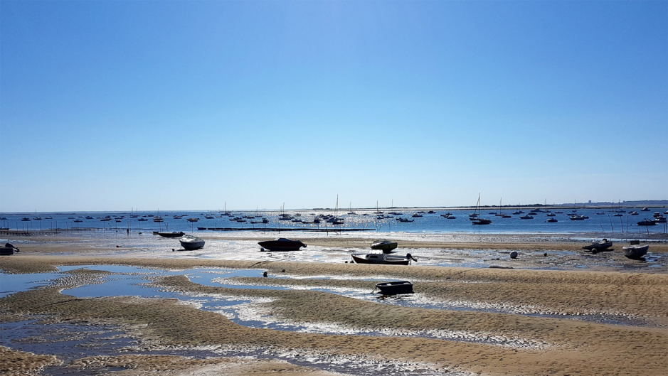 Vue depuis la plage de la Pointe aux chevaux 