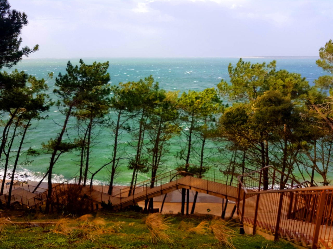 Bassin d’arcachon vert de rage 