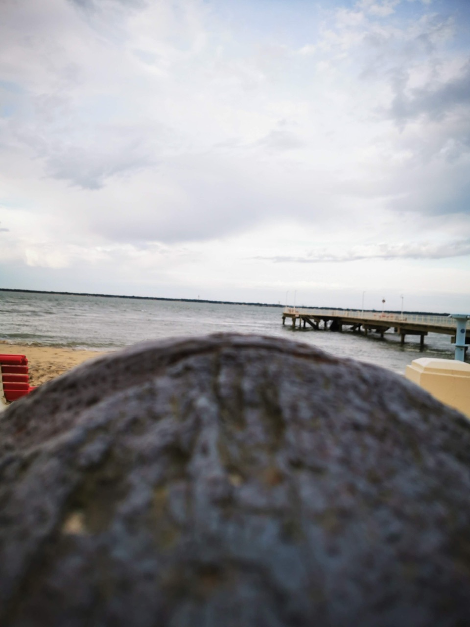 IMG_20250105_102028_Original IMG_20250105_102028_Original