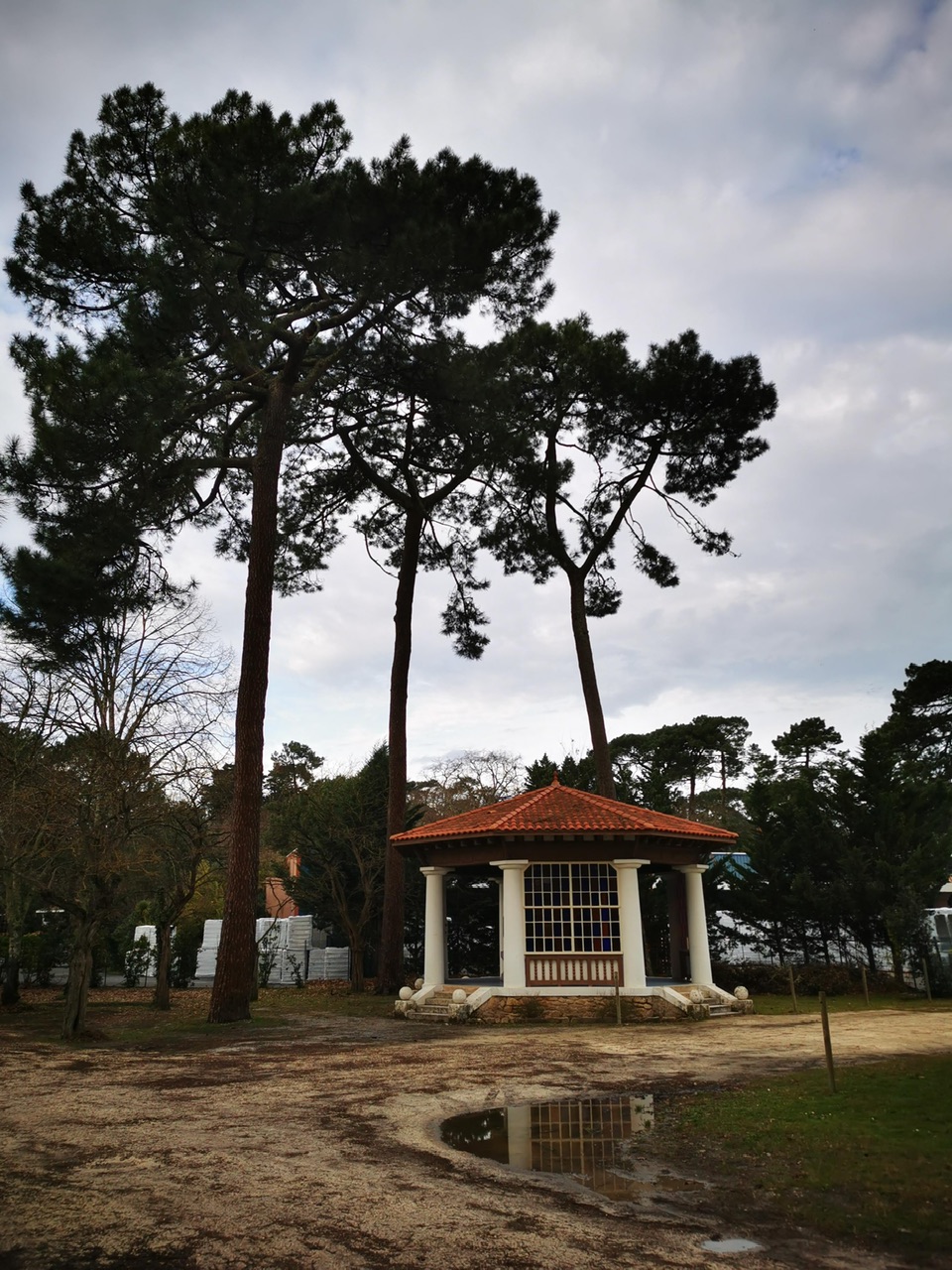 IMG_20250105_103608_Original IMG_20250105_103608_Original