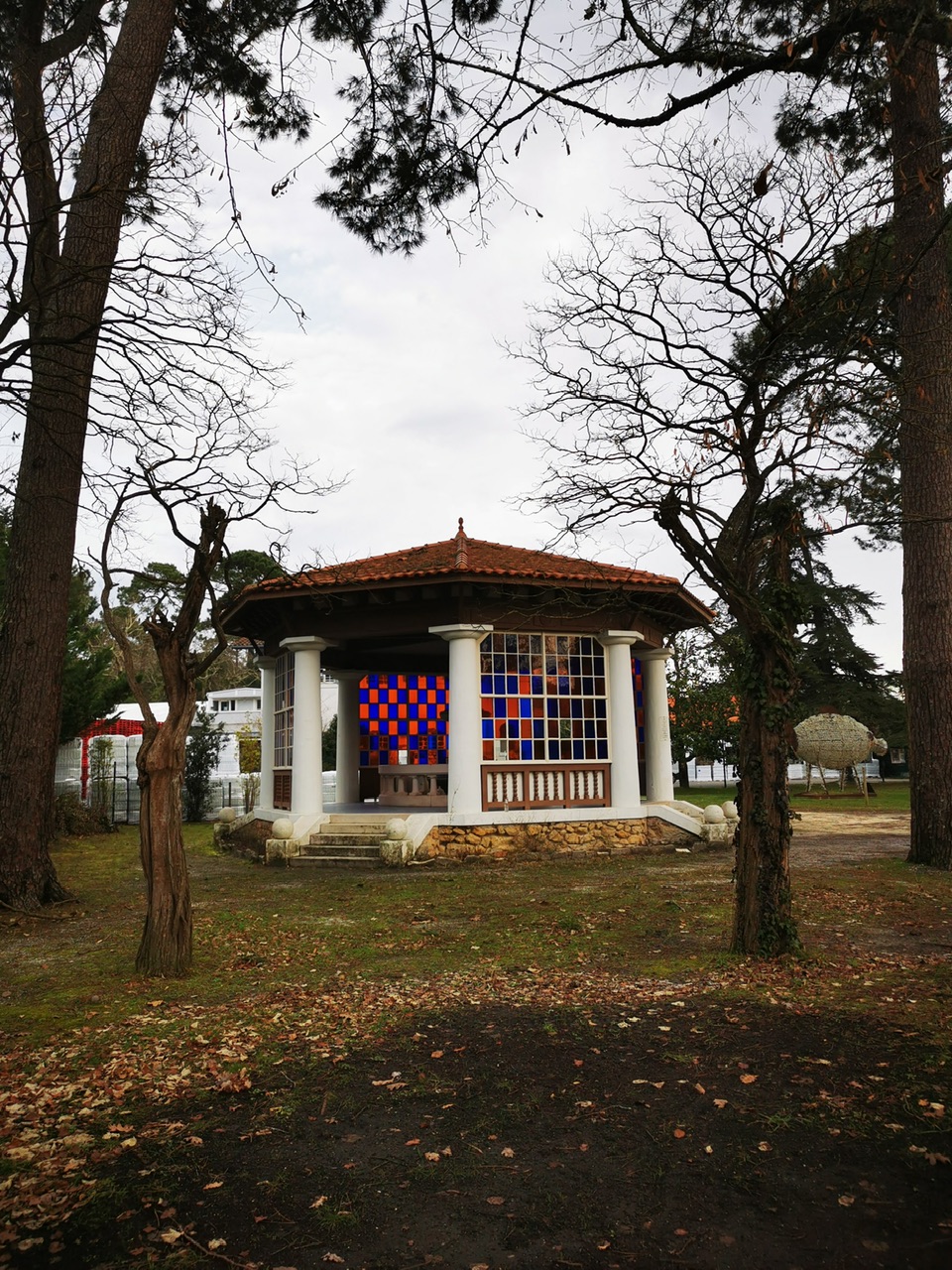 IMG_20250105_103938_Original IMG_20250105_103938_Original