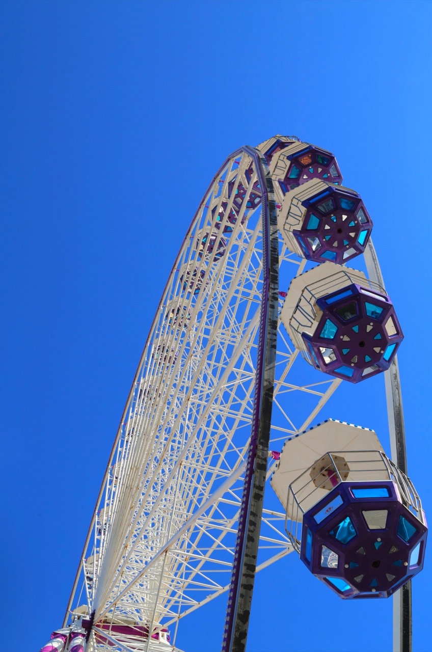 IMG_2279_SnapseedCopy