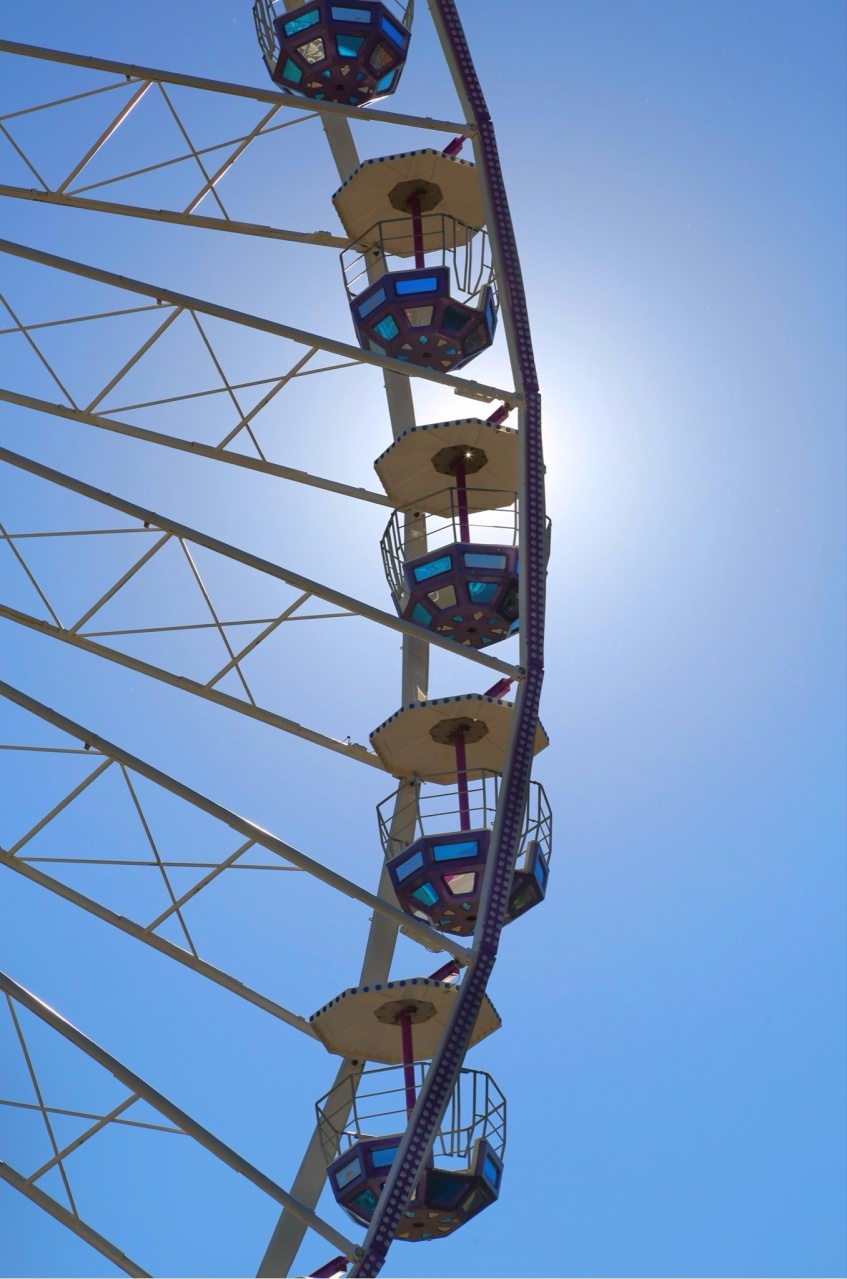 IMG_2281_SnapseedCopy