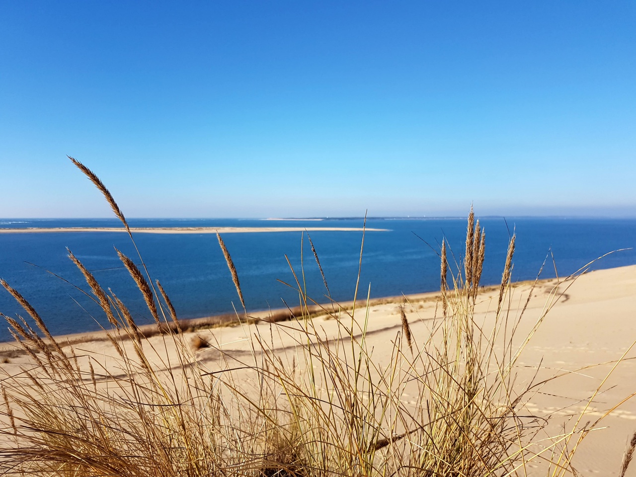 20170123_155224 20170123_155224