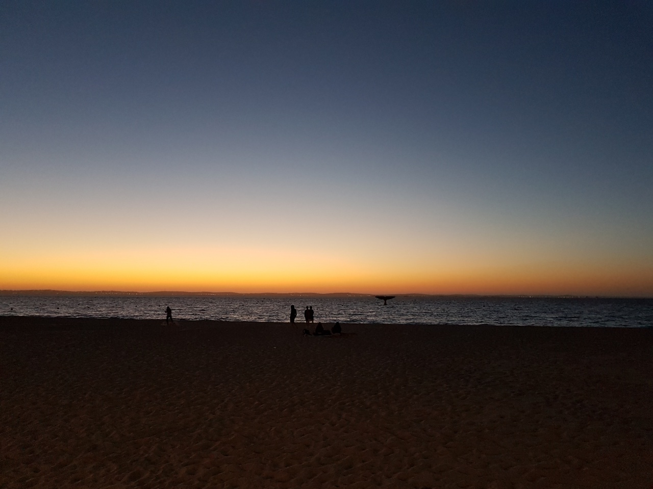 20170616_223051 20170616_223051