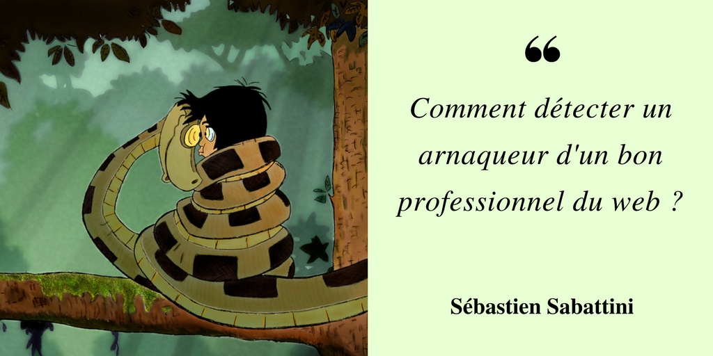 Création de site, refonte ou référencement de site web : ne vous faites plus JAMAIS arnaquer Création de site, refonte ou référencement de site web : ne vous faites plus JAMAIS arnaquer